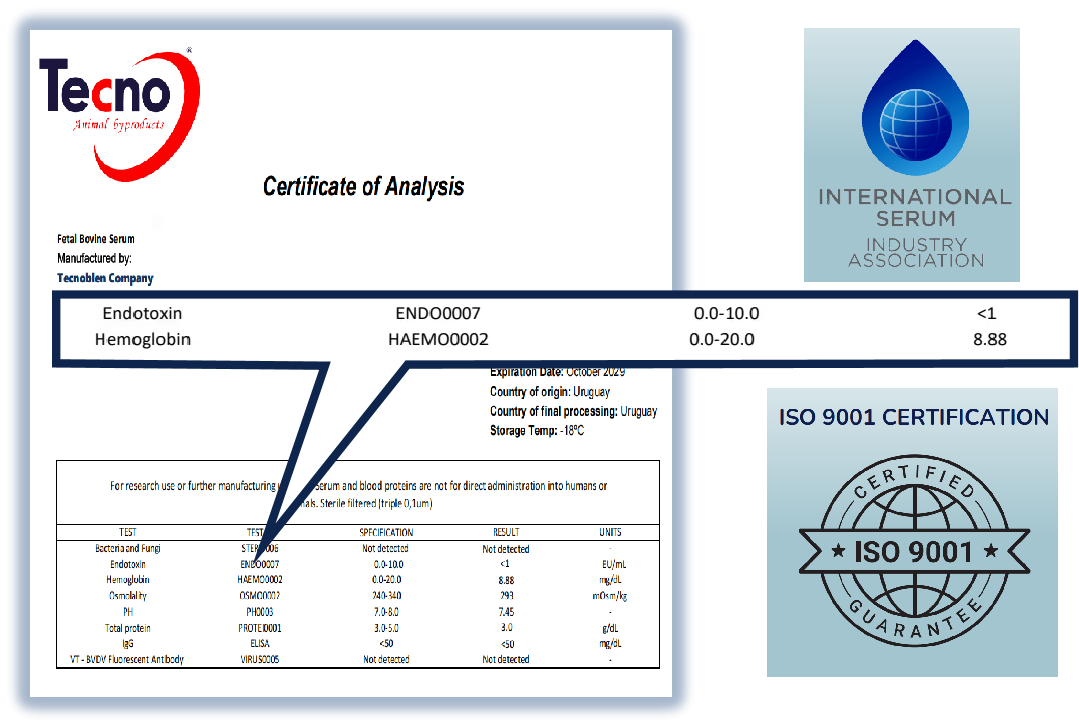 1735894997771031.png image.png